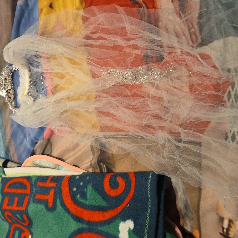 David bridal veil and tiara